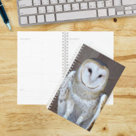 Agenda Foto de Barn Owl Raptor