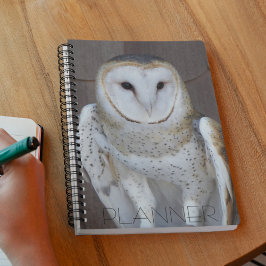 Agenda Foto de Barn Owl Raptor