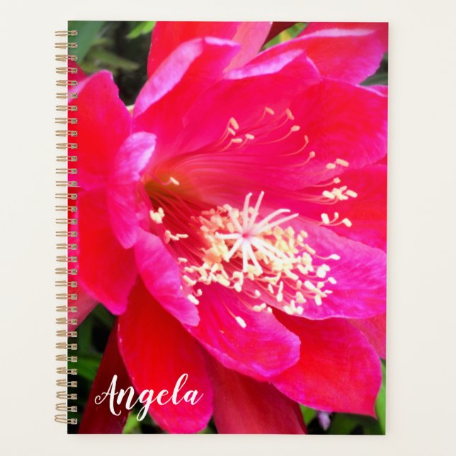 Agenda Foto de Flor Rosa Tropical (Anverso)