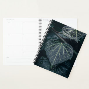 Agenda Foto de Ivy Nature