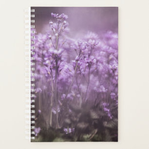 Agenda Foto de la naturaleza de la flor cubana