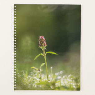 Agenda Foto de la naturaleza de las flores