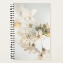 Foto de la naturaleza del cerezo en flor