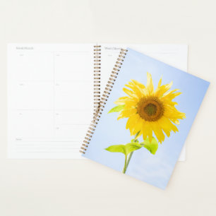 Agenda Foto de la naturaleza del girasol