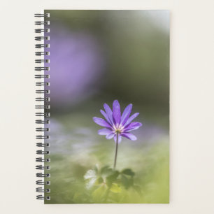 Agenda Foto de la naturaleza del paro