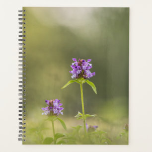 Agenda Foto de la vegetación natural