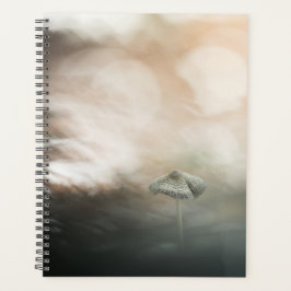 Agenda Foto de Mushroom Nature