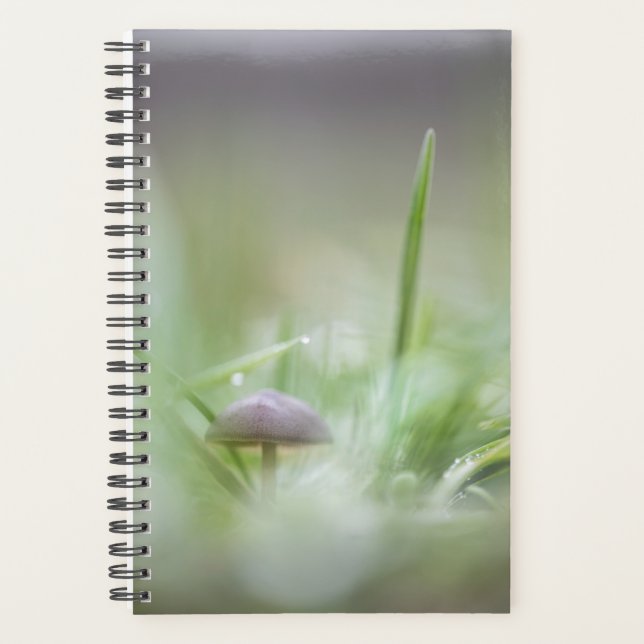Agenda Foto de Mushroom Nature (Anverso)