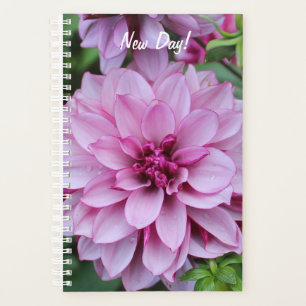 Agenda Foto de Purple Daliha Bloom