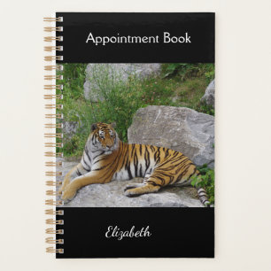 Agenda Foto de retrato de un tigre siberiano
