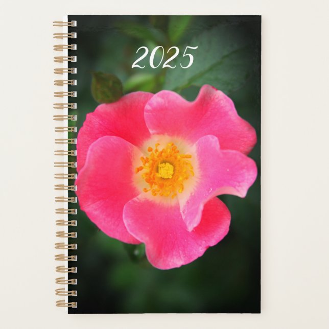 Agenda Foto Floral rosa 2025 (Anverso)