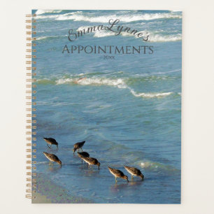 Agenda Foto Florida Shorebirds Océano Mensual Y Semanal