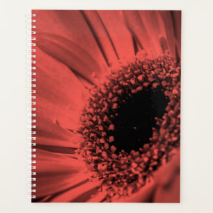 Agenda Foto, macro