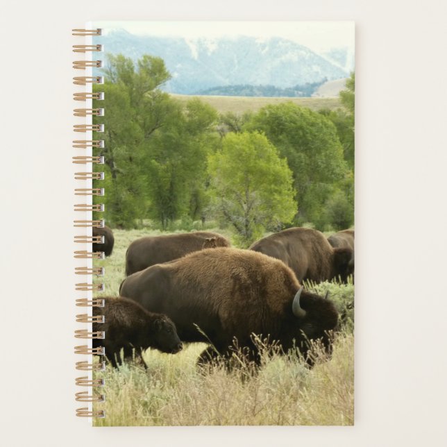 Agenda Fotografía de animales de la naturaleza de Wyoming (Anverso)