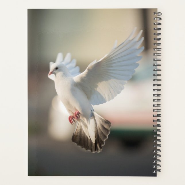 Agenda Fotografía de aves de paloma y paloma (Reverso)