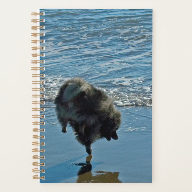 Agenda Fotografía de Ballet de Keeshond - Arte Original d (Anverso)