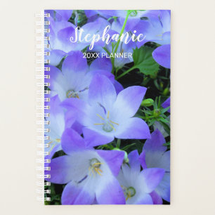 Agenda Fotografía de Campanillas Purpúreas