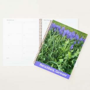 Agenda Fotografía de Violet Bluebells - Herschberg, Alema