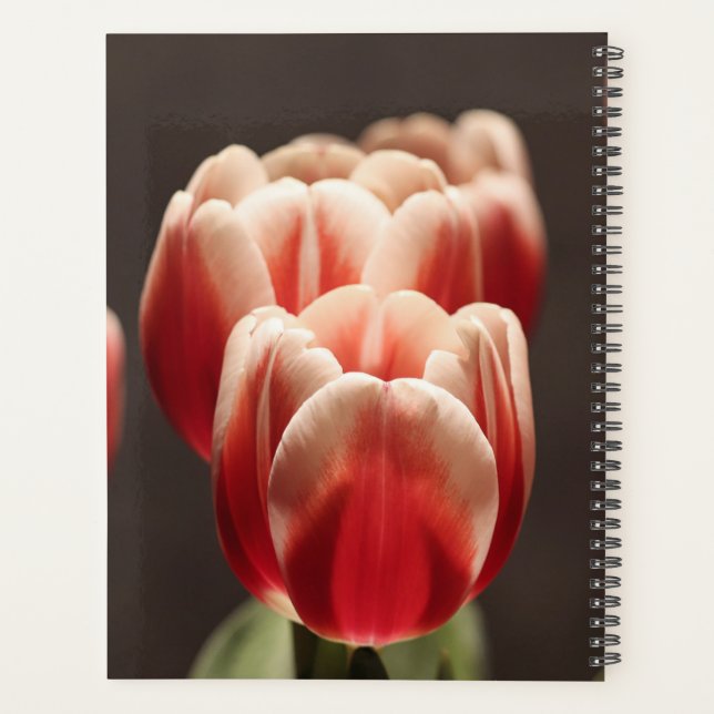 Agenda Fotografía elegante de Tulipanes y Flores Florales (Reverso)