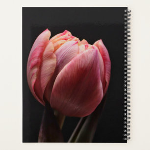 Agenda Fotografía elegante de Tulipanes y Flores Florales