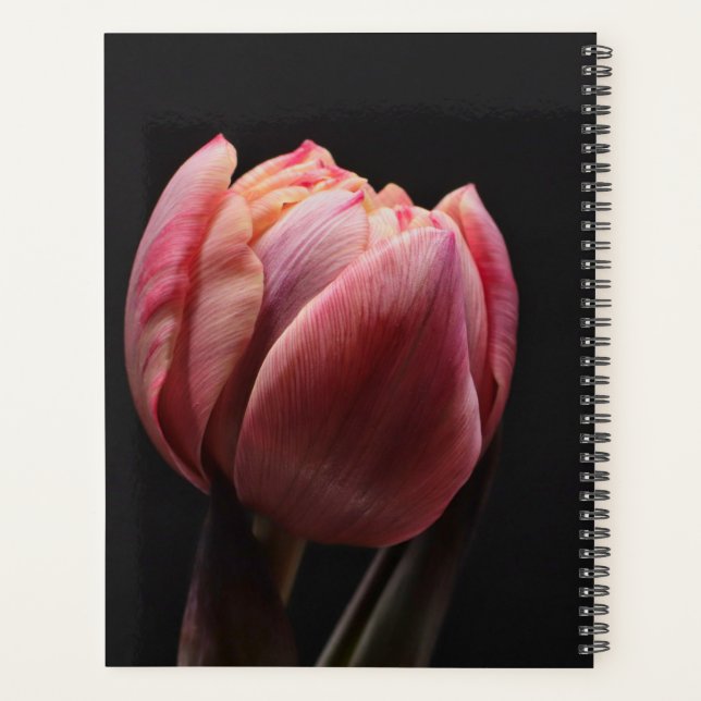 Agenda Fotografía elegante de Tulipanes y Flores Florales (Reverso)
