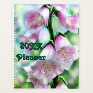 Agenda Foxglove Flor Pink Púrpura Verde Jardín Blanco