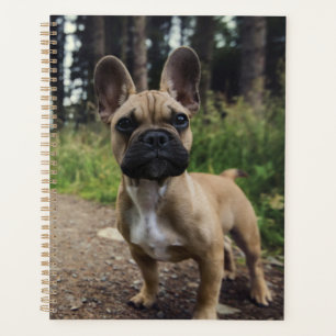 Agenda French Bulldog Throw Pillow