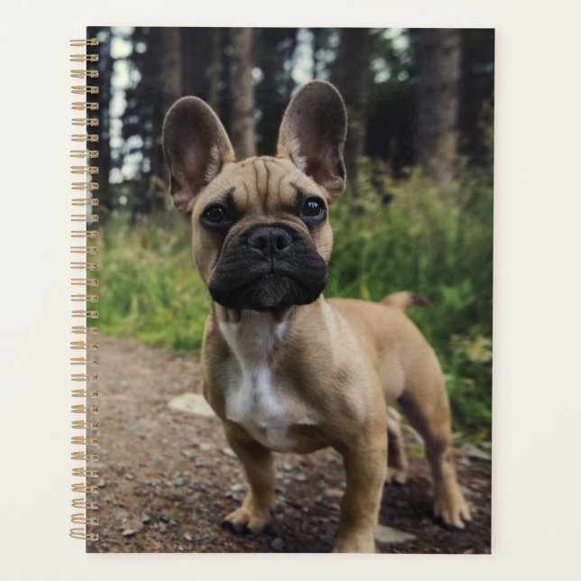 Agenda French Bulldog Throw Pillow (Anverso)