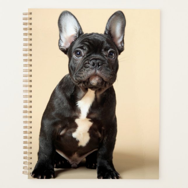 Agenda Frenchie Puppy (Anverso)