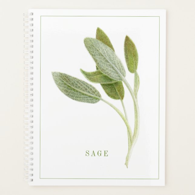 Agenda FRESH SAGE 8.5x11 Planner / Calendario (Anverso)