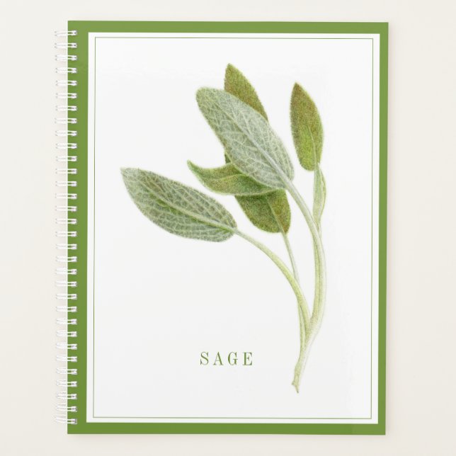 Agenda FRESH SAGE 8.5x11 Planner / Verde (Anverso)