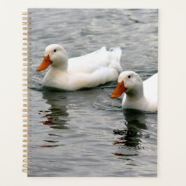 Agenda Friends For Life