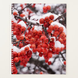 Agenda Frosted Berries Planner