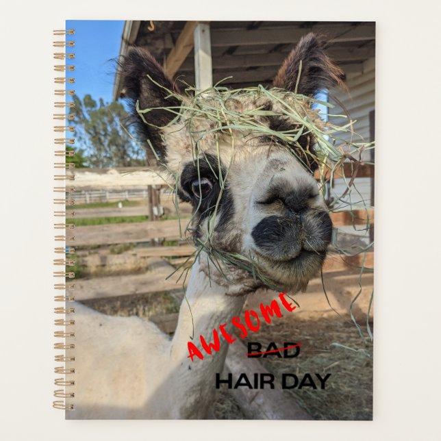 Agenda Funny Alpaca Planner (Anverso)