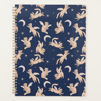 Agenda Galaxia del gato volador