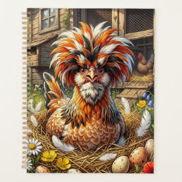 Agenda Galería de pollos polacos linda y caprichosa