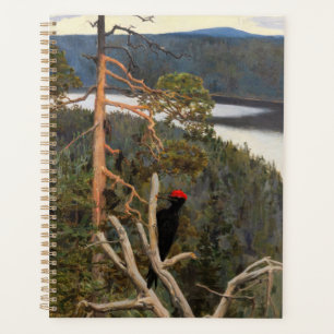 Agenda Gallen-Kallela - Grandioso pájaro carpintero negro
