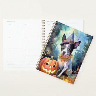 Agenda Ganado australiano de Halloween con calabazas ater