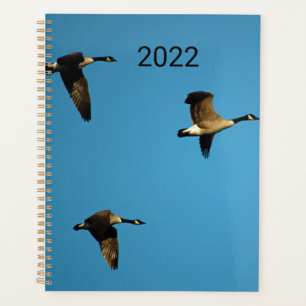 Agenda Gansos canadienses en vuelo