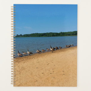 Agenda Gansos en Silver Lake, Wisconsin