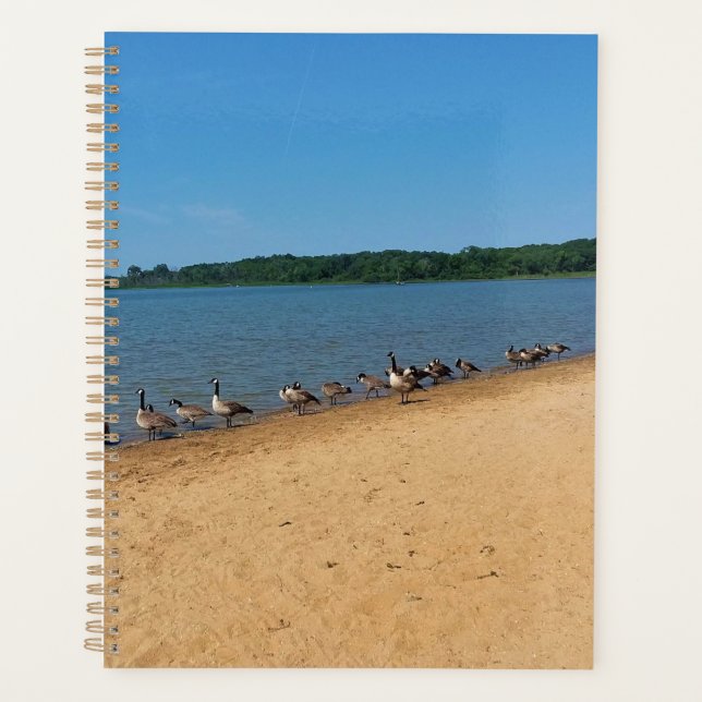 Agenda Gansos en Silver Lake, Wisconsin (Anverso)