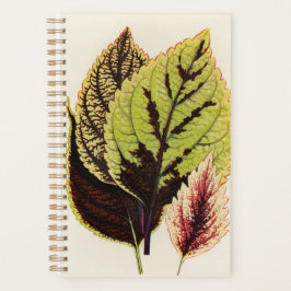 Agenda Gardener Botanic Special Gift