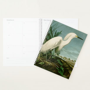 Agenda Garza Blanca de Audubon Ave Birding