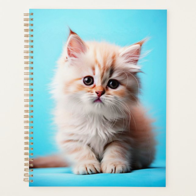 Agenda Gatito Blanco Adorable Potrait-54971 (Anverso)