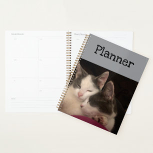 Agenda Gatito durmiente