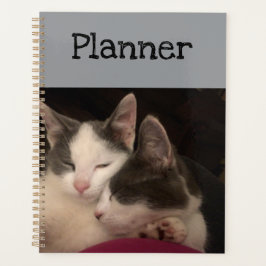 Agenda Gatito durmiente