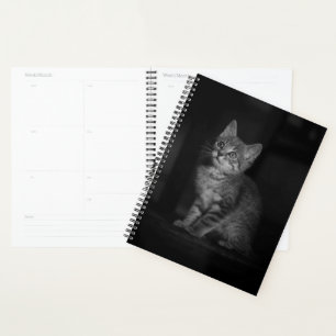 Agenda Gatito preciado