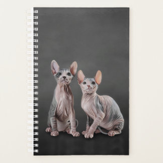 Agenda Gatito Sphynx de dibujo