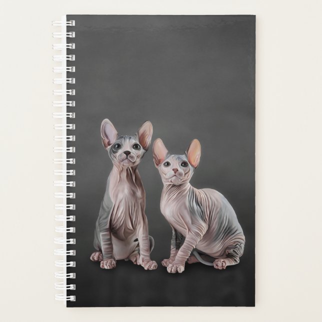 Agenda Gatito Sphynx de dibujo (Anverso)