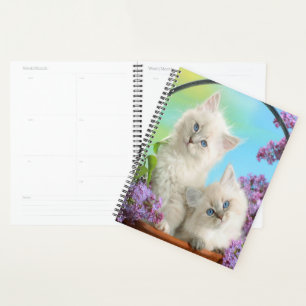Agenda Gatitos y licores